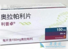 ��������ԭ��ҩ���