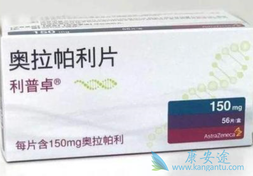 ��������ԭ��ҩ������