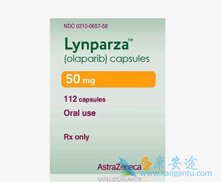 �������Ṻ������