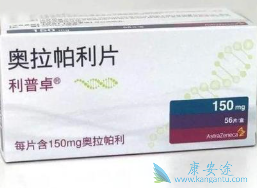 ��������ʹ��˵��