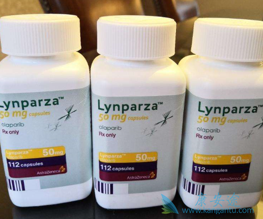 ����������ʲô��