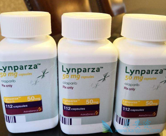 ����������Ч