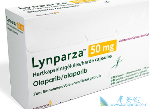 ���������Ƴ�