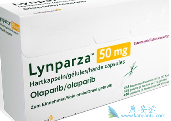 ��������һ�гԶ�����