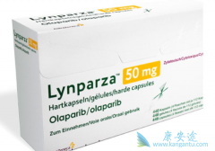 ���������ʺϻ���ͻ�����