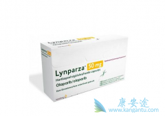 ���������ʺ�ʲô���͵��ѳ�����