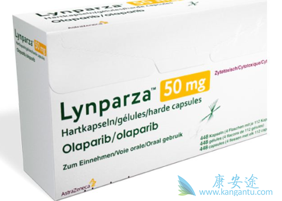 ����������Ӧ֢