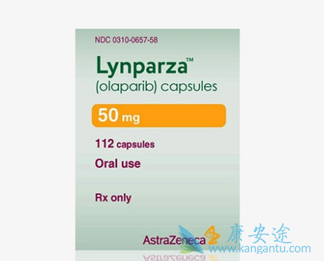 ���������Ч���͸�����