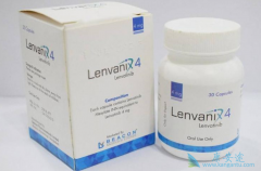 �ַ���������