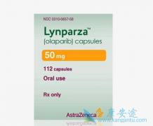 ��������ҩ�������Ӱ��ҩЧ��