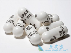 ������������ԭ��