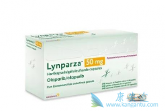 ��������ָ��