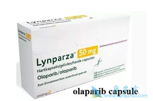 �������ᵥҩ����Ч��