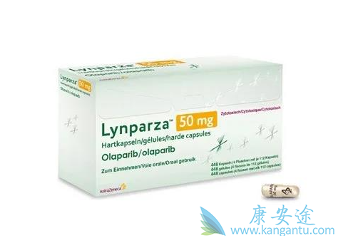 ���������Ƽ�����