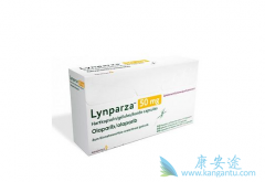 ����������ѳ�������