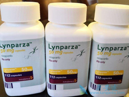 parp��������