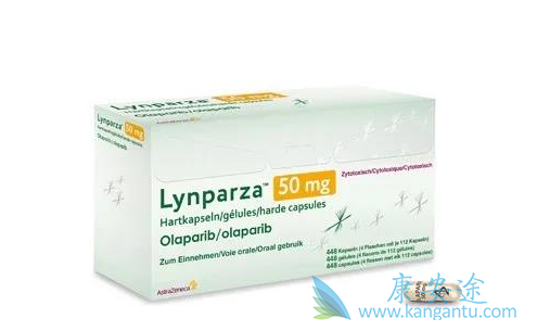 ������������ٰ��Ƿ�������