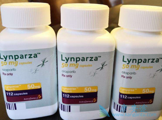 �����������ѳ�����