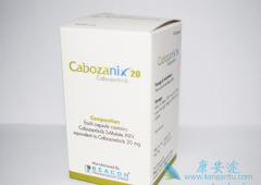 ʲô�ǿ�������