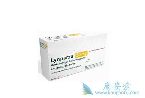 ������������ߴ������