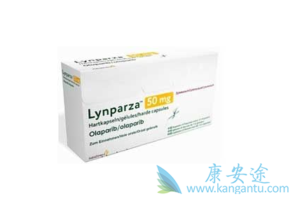 奥拉帕尼一线维持数据怎样 奥拉帕尼一线维持数据怎样