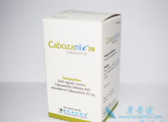 ���������б��˵ķ��ư汾��