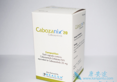 �����Ŀ�������汾