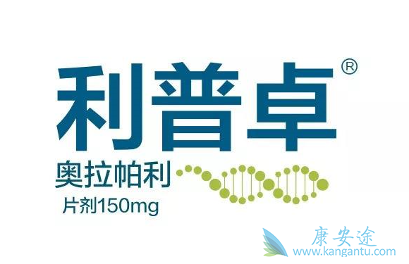 �����������ɱ����ϸ��