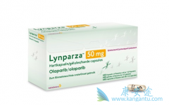 �����������������Ƽ����Ч�����