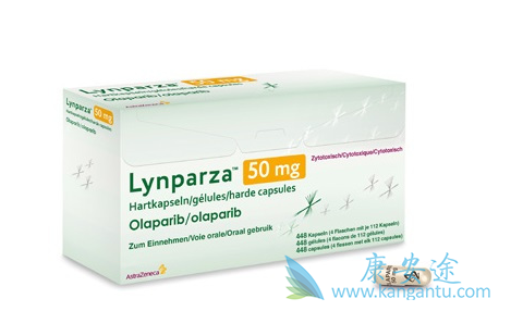 �����������ѳ�������ķ�չ·��