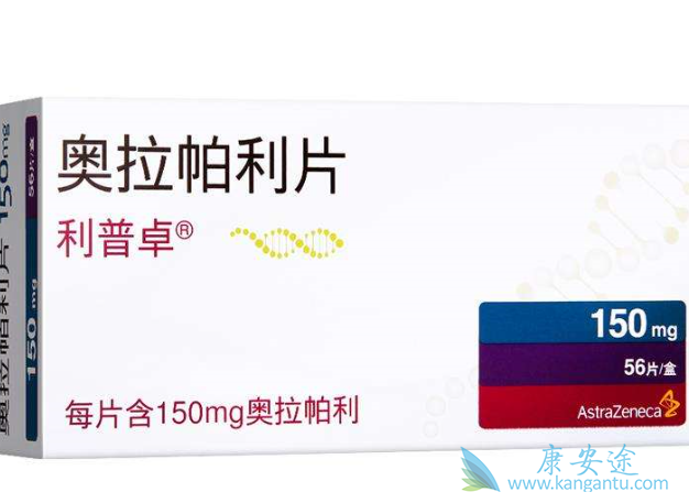 �԰�������󼲲������