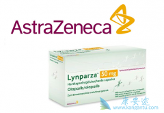 ���������ܸ�����ʹ֢״��