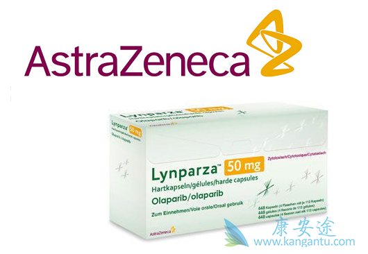 ���������ܸ�����ʹ֢״��