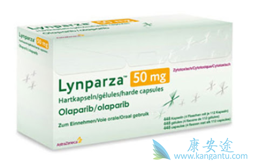 ��������Ȱ���������