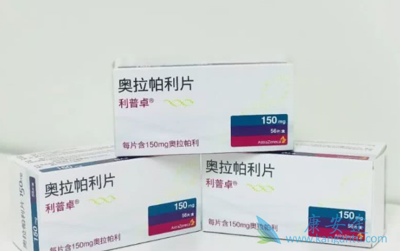 ��������İ�ȫ��