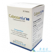 ���������Ч��զ��