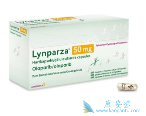 �����������Щ��������