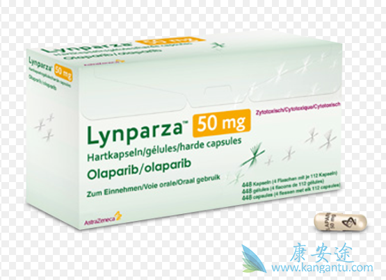 �������᳤�����������