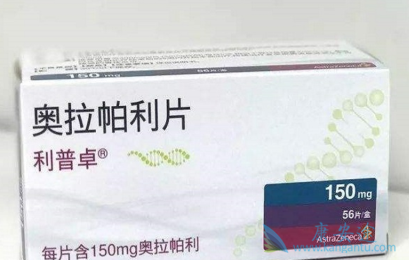 ��������������Ч����