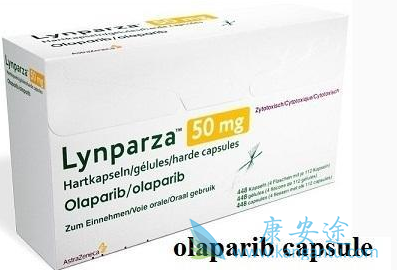 ���������������ƻ����Ӹ�������