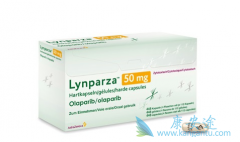 ����������԰�����������