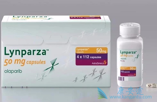 �������������������е�Ӧ��