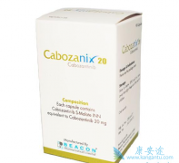 �����������ϸ˵����