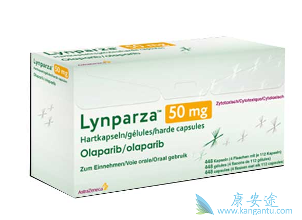 �����������Ҫ������Ӧ