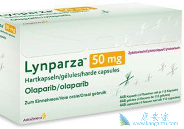 �����������Ƶİ�ȫ�Ժ���Ч�Ա�֤����һ��