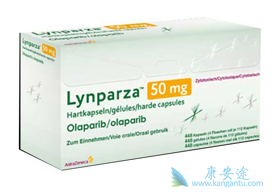 �������ᴦ��PARP���Ƽ������ȵ�λ