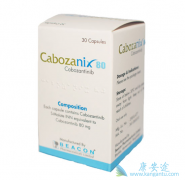 xl184�����������й���������