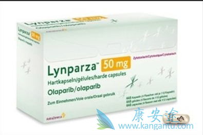 �԰���������ֹ����