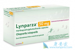 ���������HER2�������ٰ���Ч��