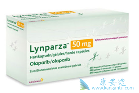 ���������HER2�������ٰ���Ч��